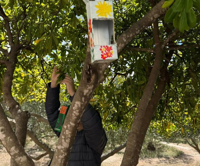 Aktivnosti učenika 1.c razreda