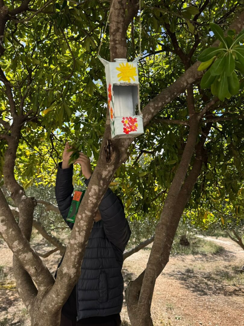 561061789_17912764740213378_3651340100646663554_n