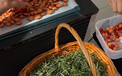 Učenici 1.c razreda ponovno u akciji