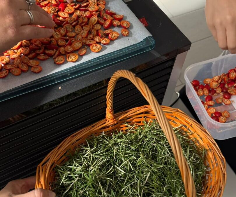 Učenici 1.c razreda ponovno u akciji