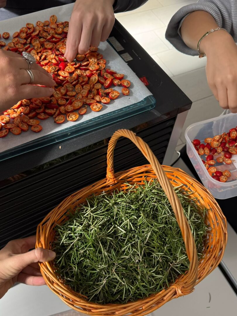 566140452_17913488034213378_6804412452396296284_n