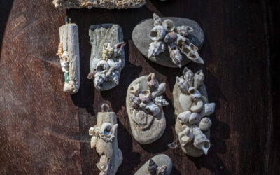 Učenička zadruga “Reful” u  prilogu ĐIR TV-a!