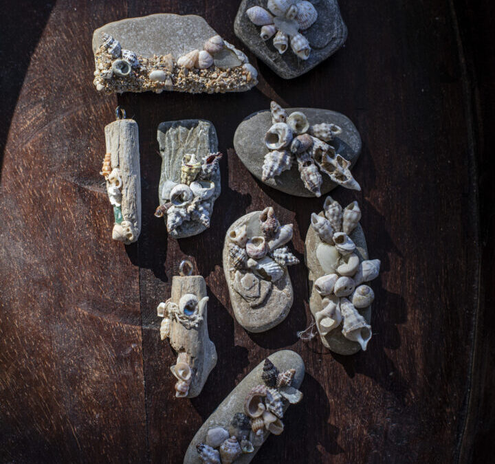 Učenička zadruga “Reful” u  prilogu ĐIR TV-a!